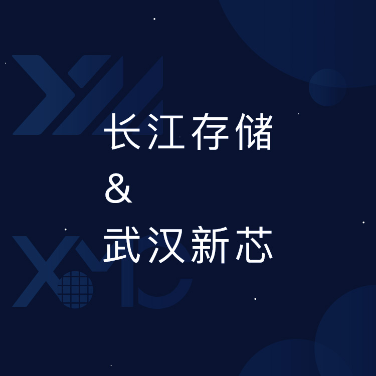 長(cháng)江存儲、武漢新(xīn)芯網站建設